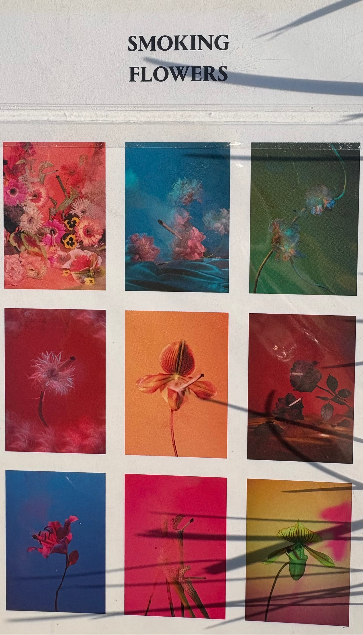 'smoking flowers' postcards