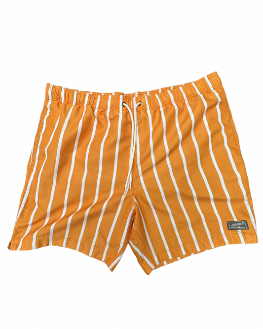 eddie bauer swimshorts