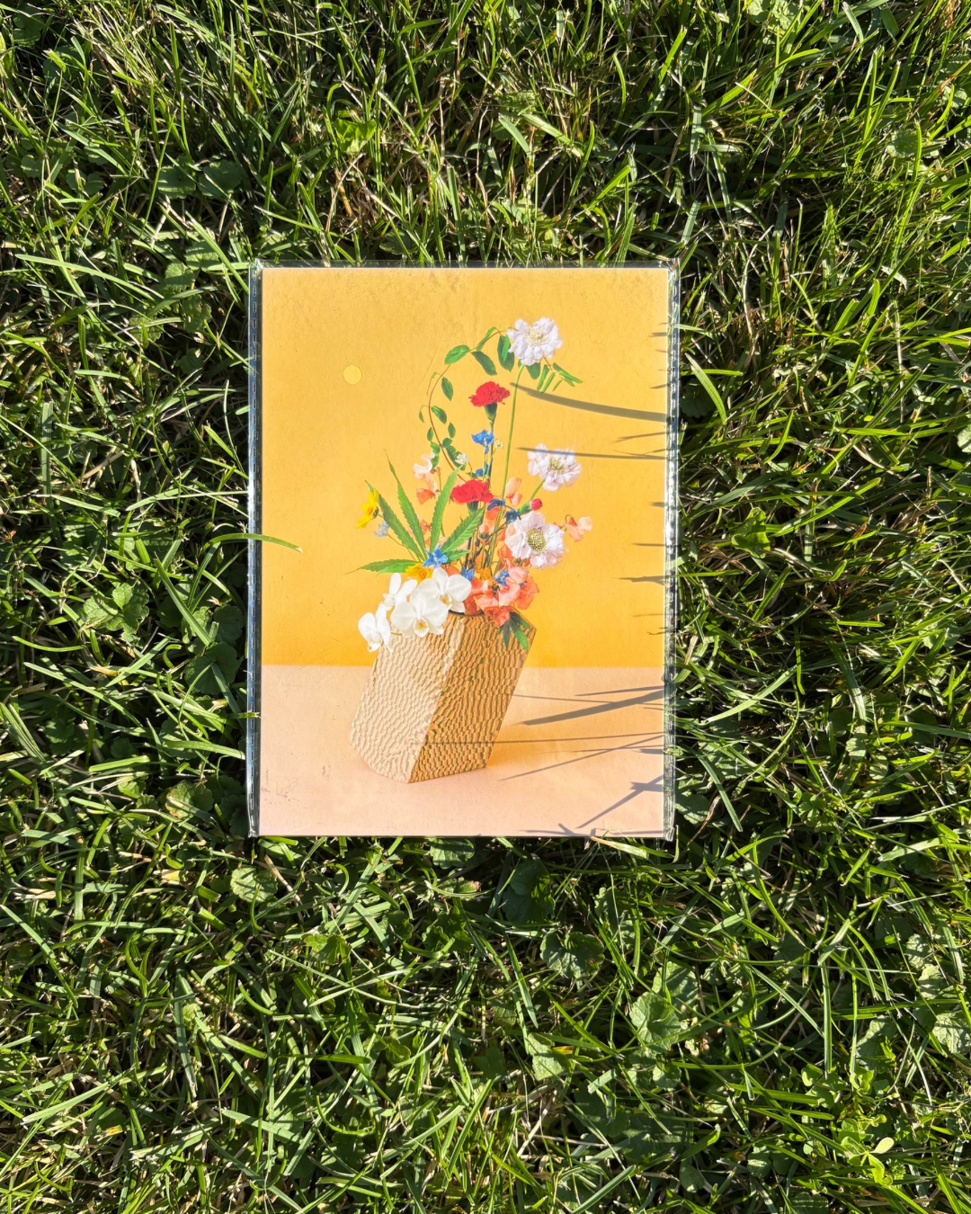 'flower pot' postcards